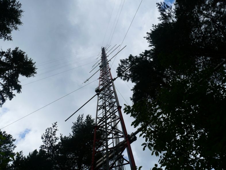 Forest exkursion of EFOL 2025